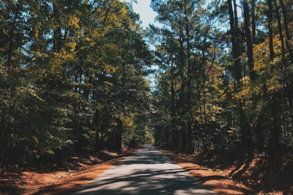 12 Picture-Perfect Spots in East Texas That Feel Like a Dream