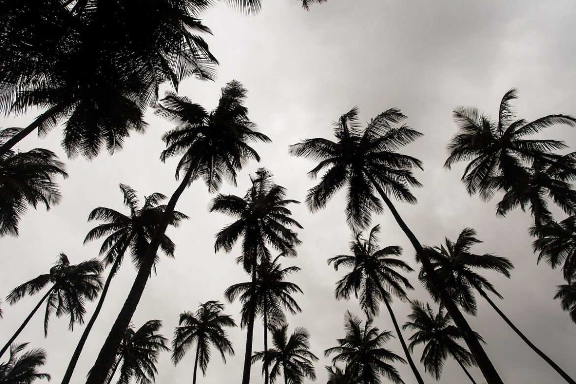Most Beautiful Places in Liberia