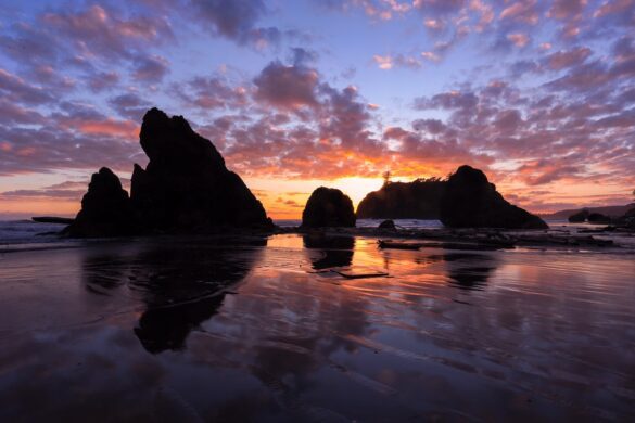 The 12 Prettiest Spots in Olympic National Park You Won’t Believe Exist