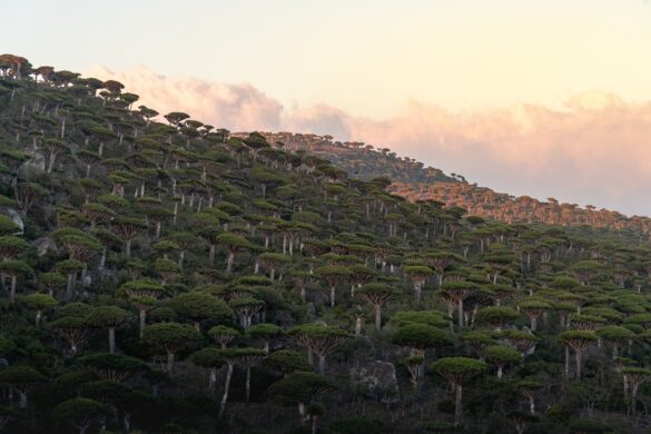 Most Beautiful Places in Yemen