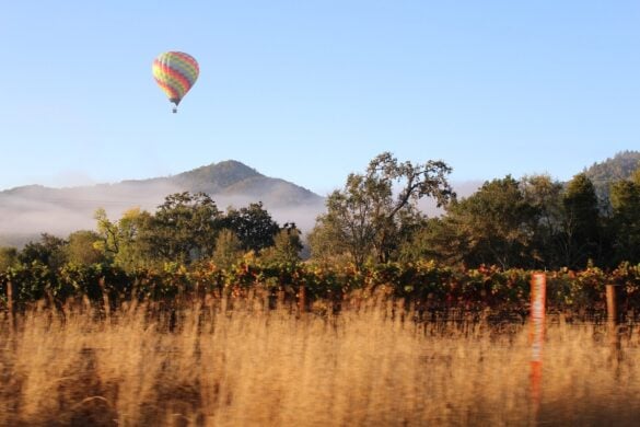 Most Beautiful Places in Napa Valley