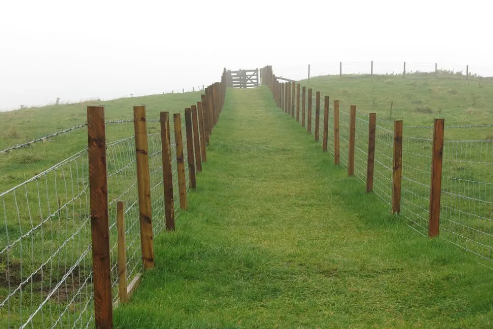 Cairnpapple Hill