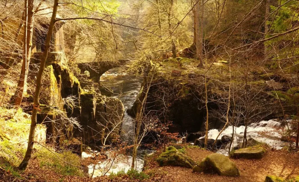 The Hermitage