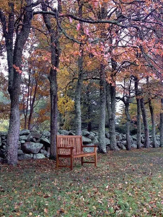 Polly Hill Arboretum