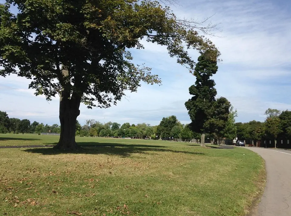 Delaware Park