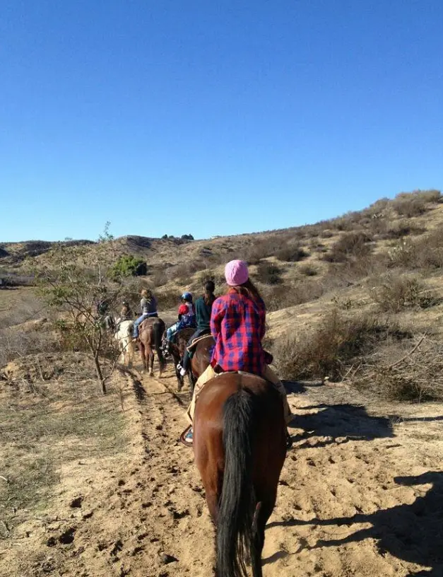 Temecula Wine Country Horseback Riding