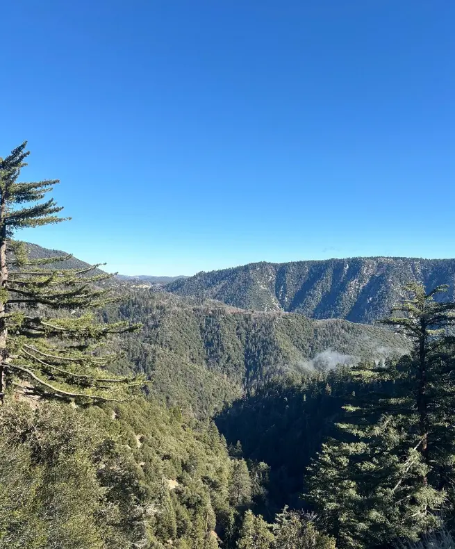 San Bernardino National Forest