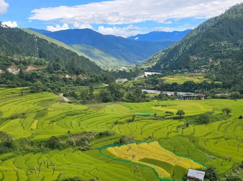 Phobjikha Valley