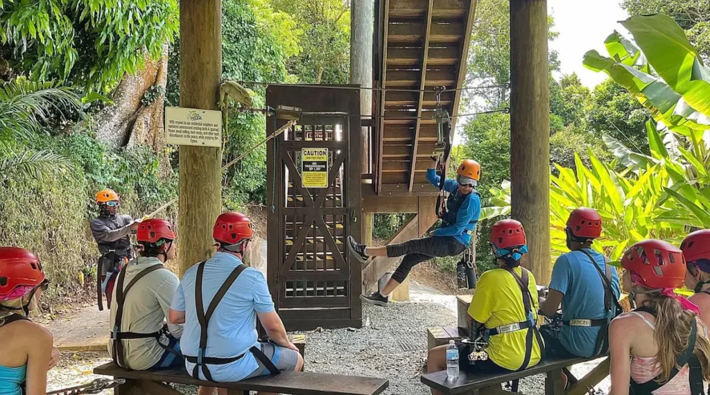 Tree Limin' Extreme Zipline
