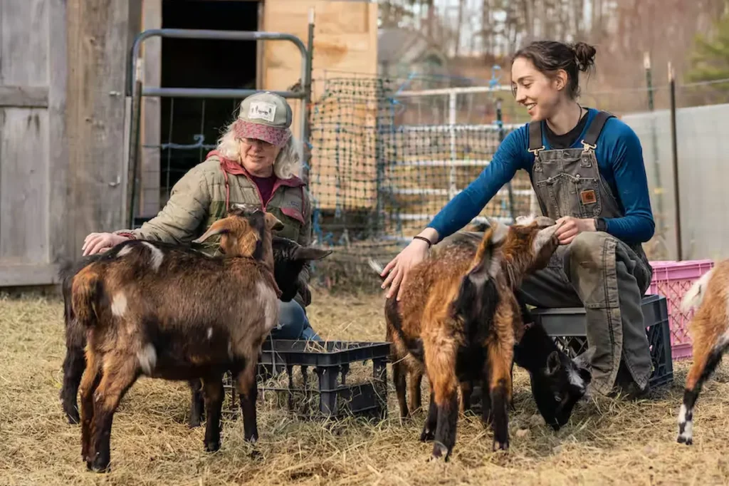 Snuggle with Nigerian Dwarf Goats