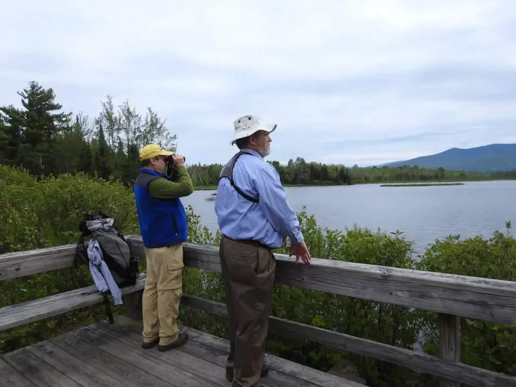 Birdwatching at Odiorne Point, NH coast