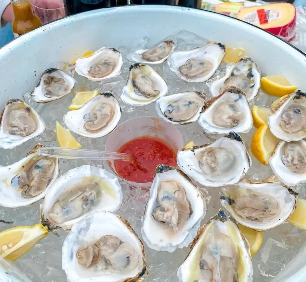 Katama Bay oyster farm