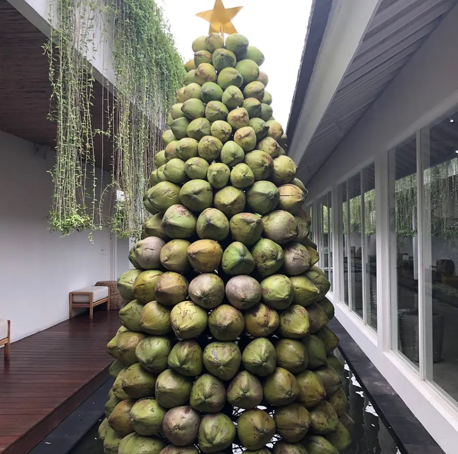 Coconut Christmas tree at Spring Spa Canggu