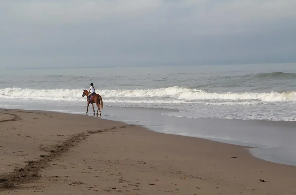 Bali Equestrian Centre
