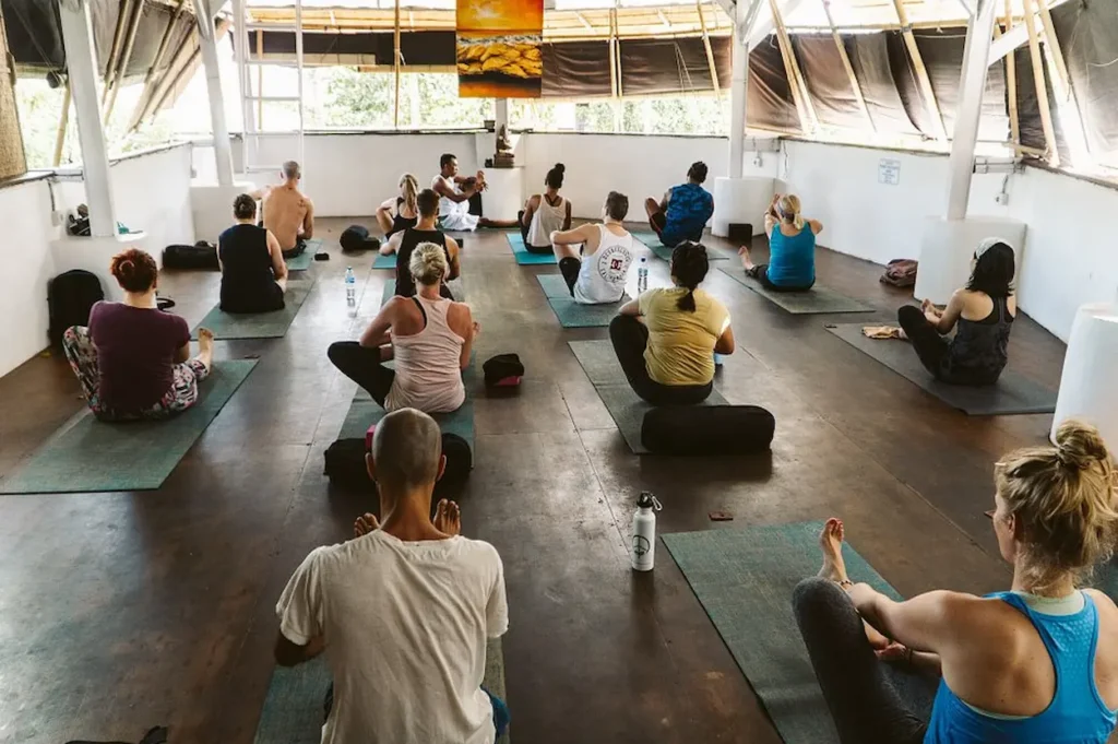 Serenity Eco Guesthouse and Yoga