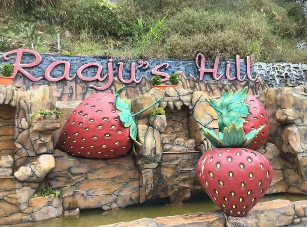 Raju Hill Strawberry Farm