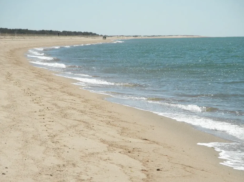 Mashpee & South Cape Beach State Park
