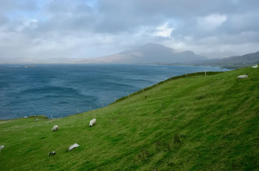 Connemara Loop