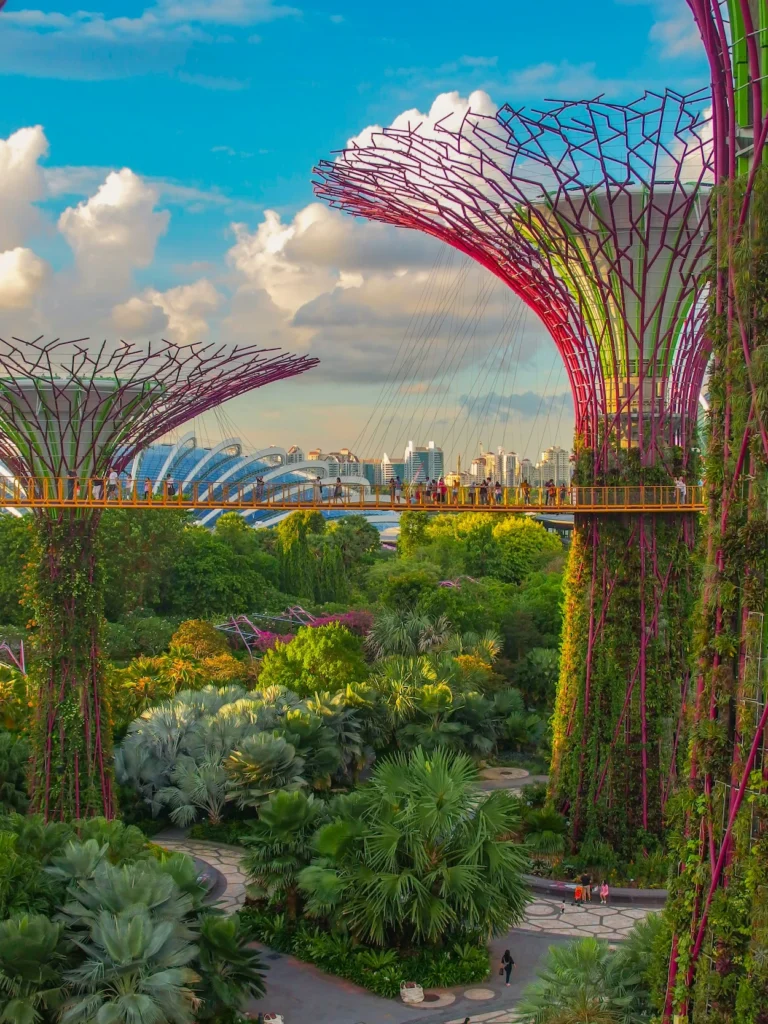 Supertree structures and the OCBC Skyway at Gardens by the Bay