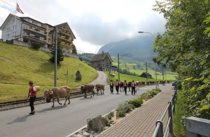 Alpabzug in Appenzell