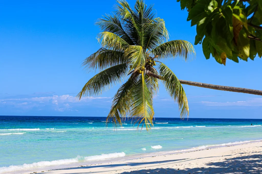 Leaning coconut palm tree over a white sand beach and turquoise tropical ocean water