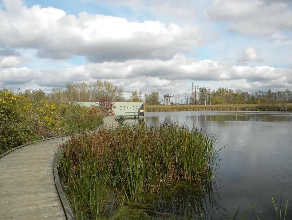 Tifft Nature Preserve
