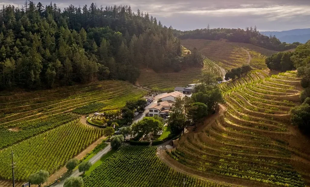 Quintessentially Napa Valley, Pine Ridge Vineyards is set in the heart of the Stags Leap District