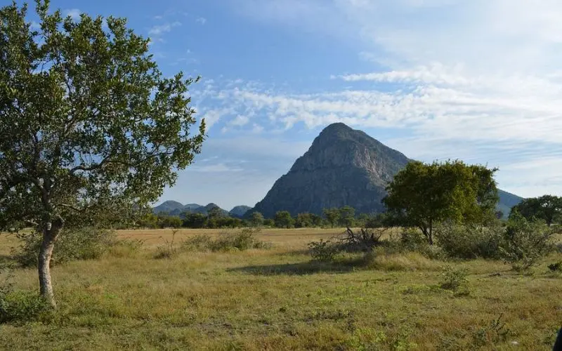 A rocky hill rising above grassy plains at Tsodilo Hills.
