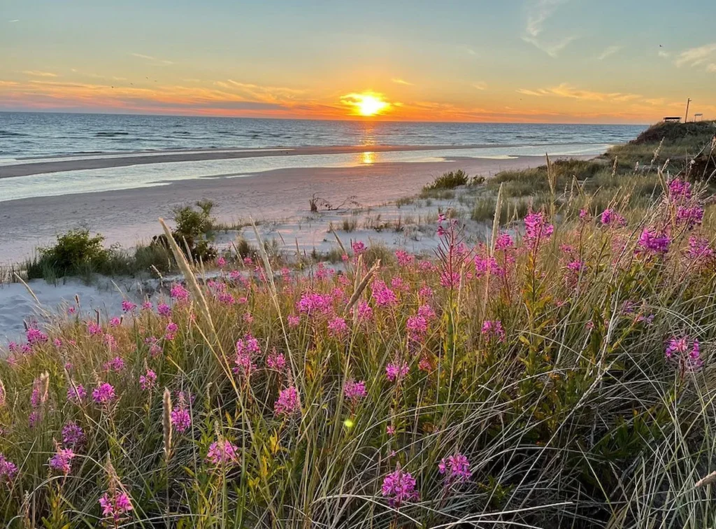 Beach in Gotska Sandön 
