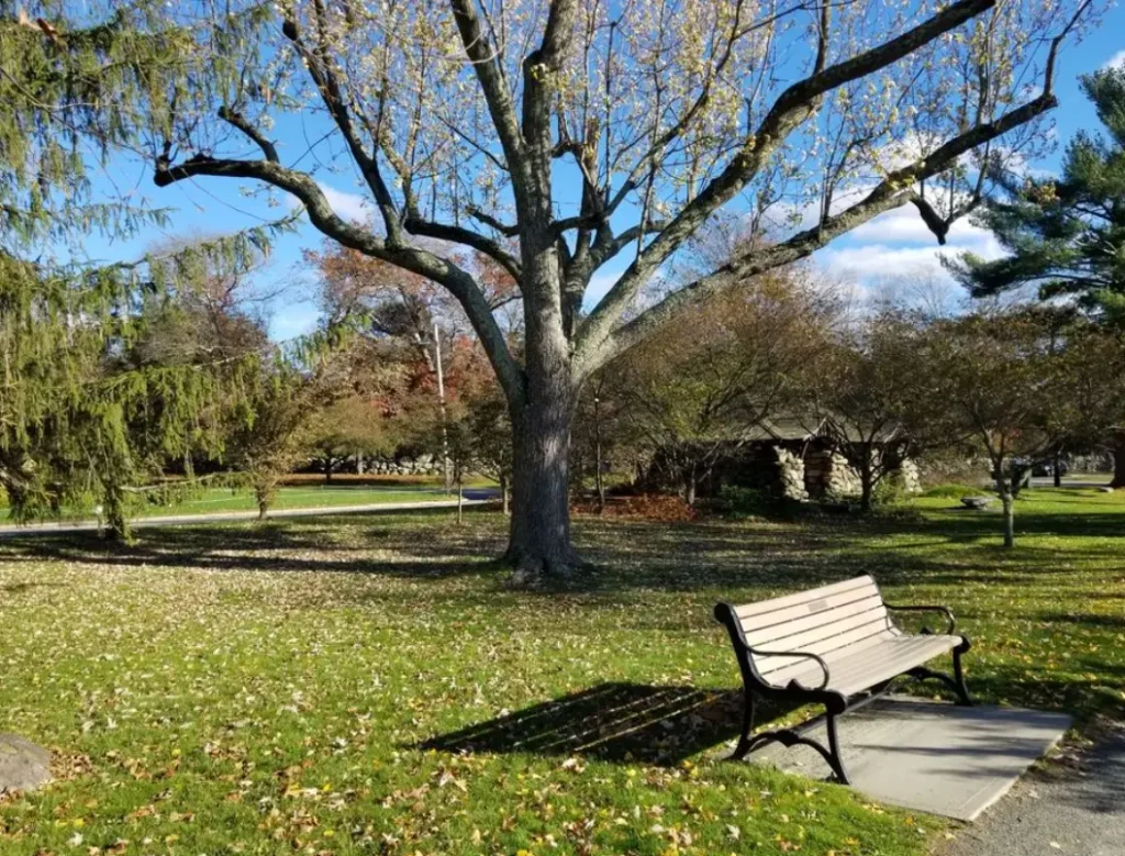 Blackstone Boulevard Park