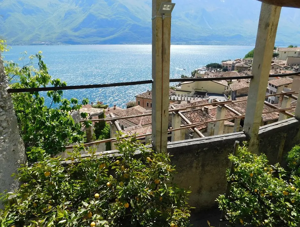 La Limonaia Del Castel