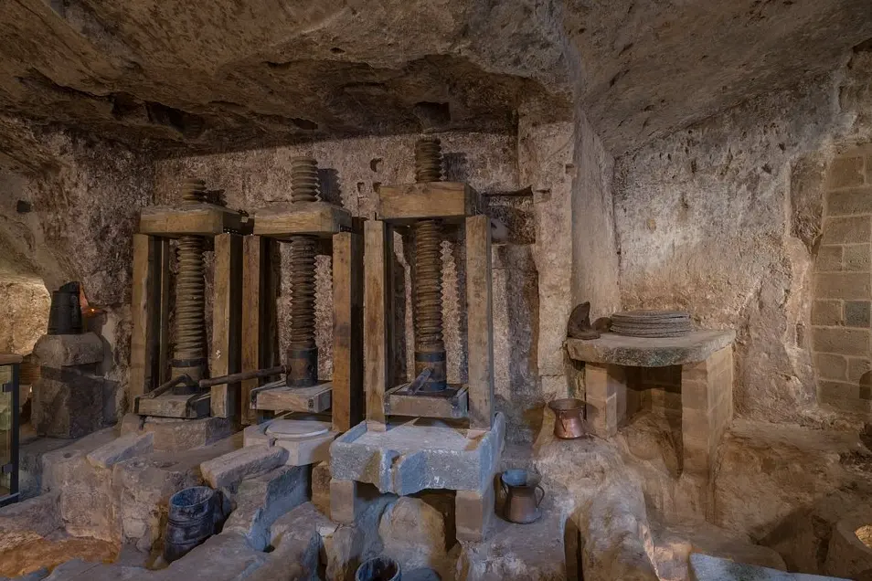 MOOM Matera Olive Oil Museum