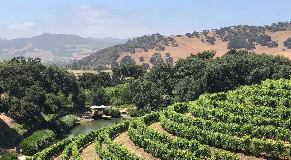 Private Vineyard in Solvang