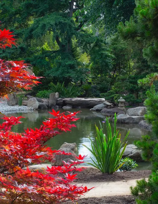 View to the iconic stone bridge in Lotusland's Japanese Garden.