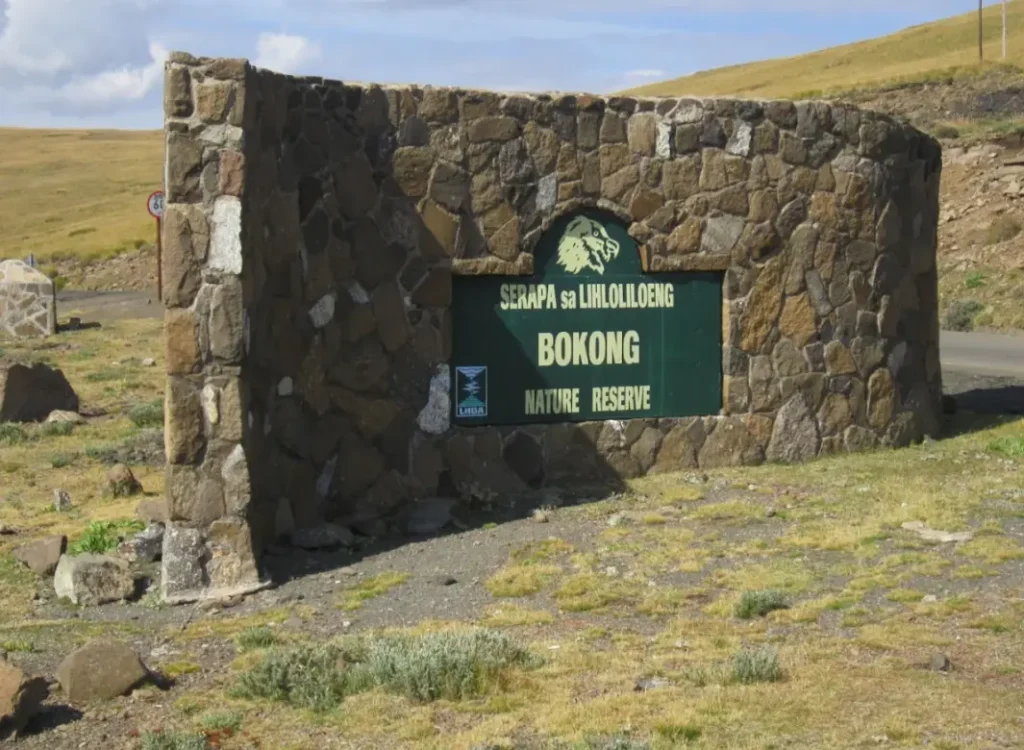 Bokong Nature Reserve