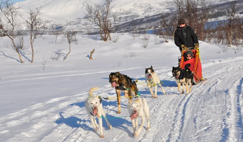 Tromsø Wilderness Centre