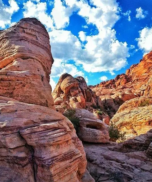 Red Rock Canyon National Conservation Area