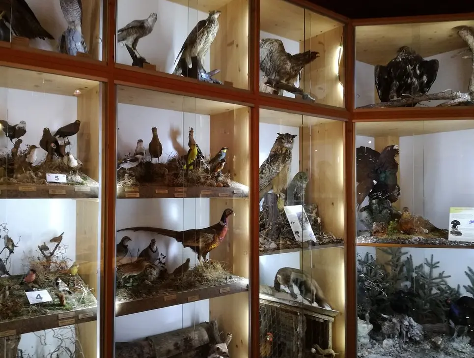 Museo Etnografico E Naturalistico Val Sanagra