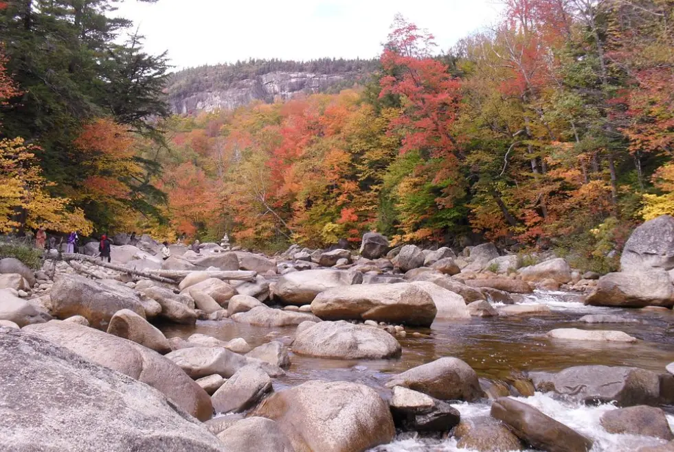 White Mountain National Forest