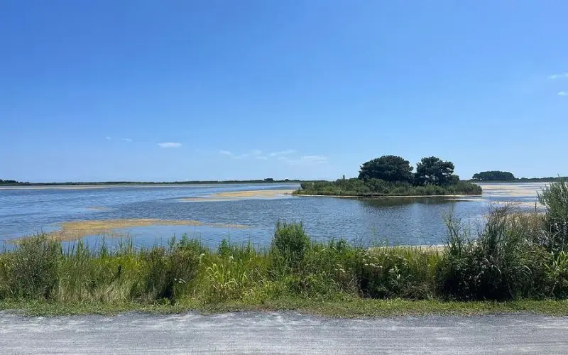 Scenic water view with grassy edges and a small island at Cape Henlopen State Park.