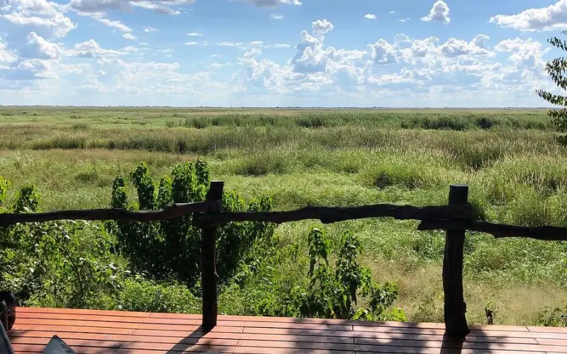 Wooden deck overlooking the grassy wetlands at Linyanti Wildlife Reserve.