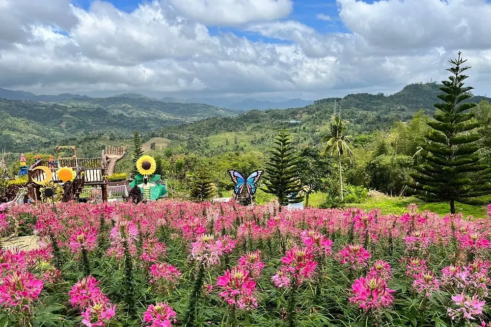 A hillside garden filled with pink flowers and decorations at Sirao Flower Garden.