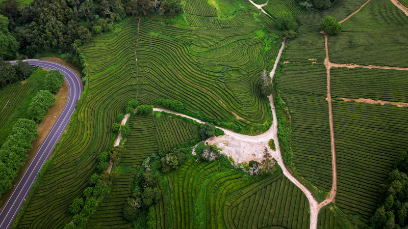 Flights to tropical places will bring you to some epic islands
