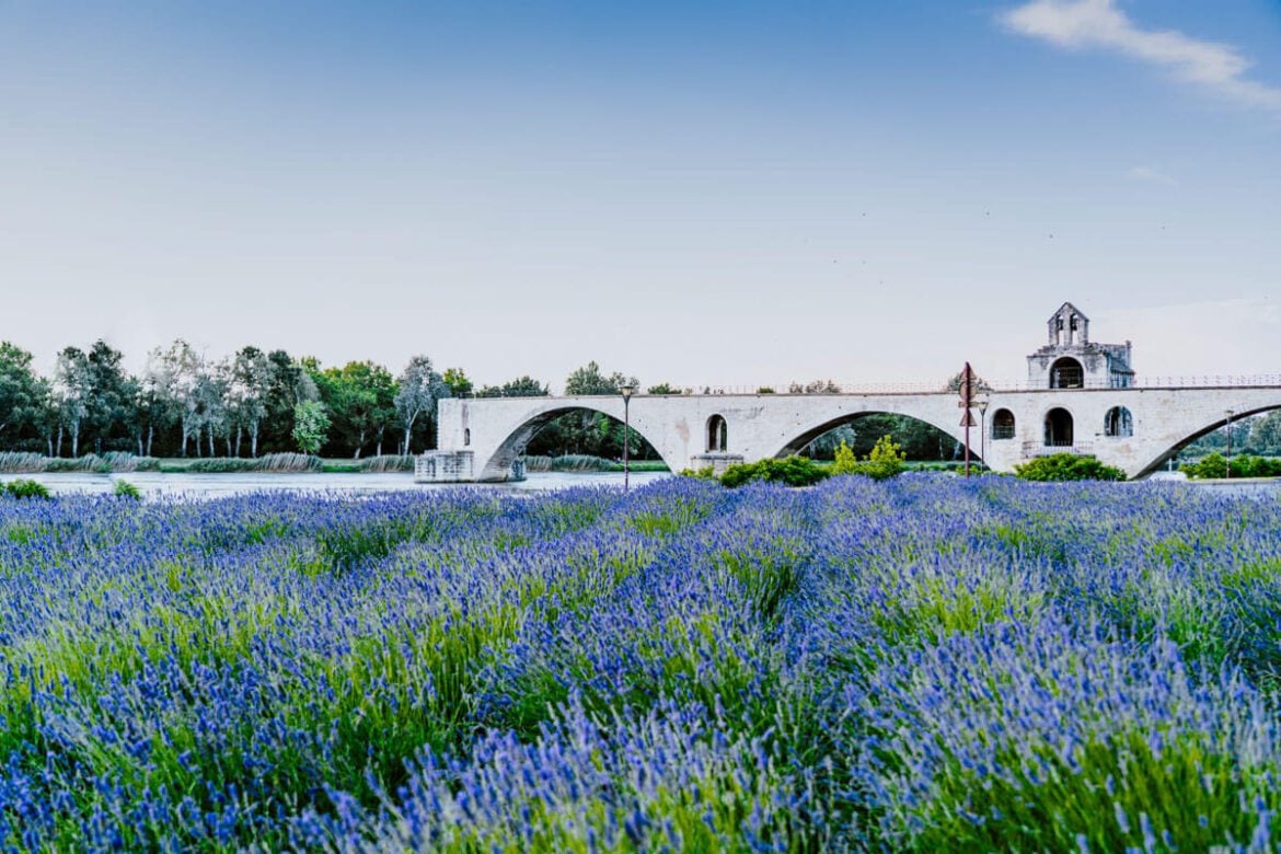 Best Things to Do in Avignon, France