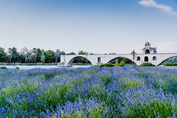 Best Things to Do in Avignon, France