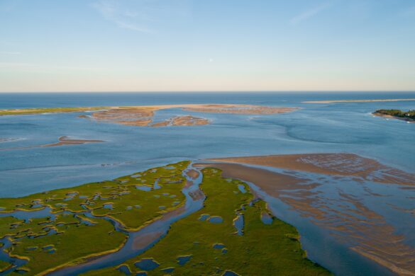 Why Chatham Is Cape Cod’s Prettiest Stop (Beaches, Seals & Seafood)