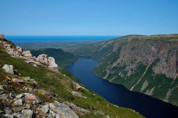 12 Top-Rated Things to Do in Gros Morne National Park