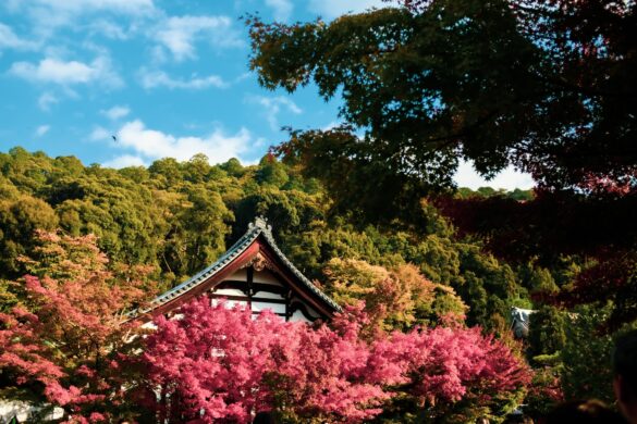 Why Kansai Needs to Be on Your 2026 Japan Trip (Temples, Onsen & More)