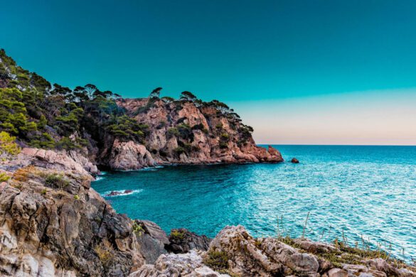 Best Things to Do in Marbella, Spain