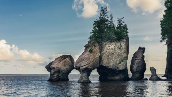 Best Things to Do in the Bay of Fundy